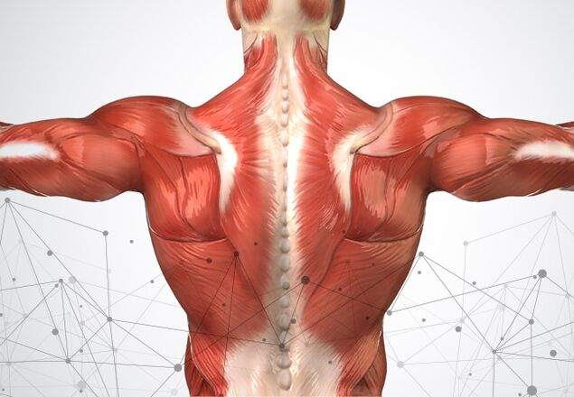 nyeri otot di sepanjang tulang belakang
